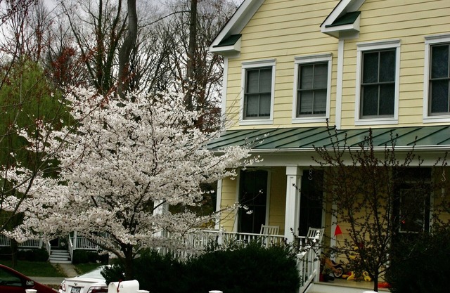 Rugby area home-Perfect for UVa Graduation (one mile from the Rotunda)