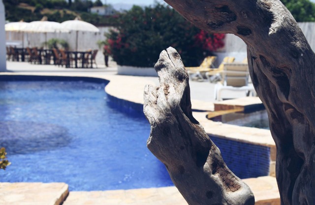 RunWild Hen Party Pool Fun for 12
