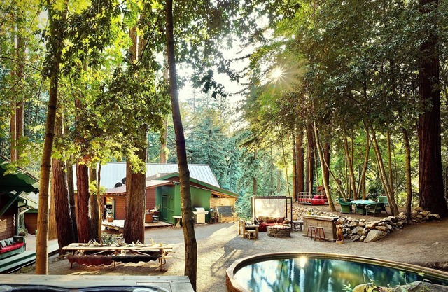 Rural Retreat in Giant Redwoods at center of Napa Wine Country, Free Concierge