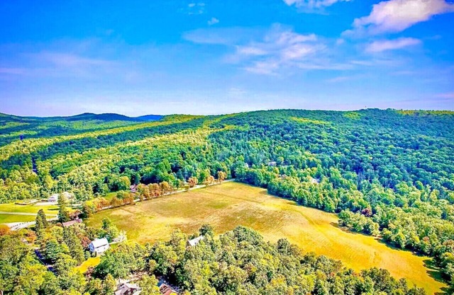Rustic 10BR MountainTop Cottage