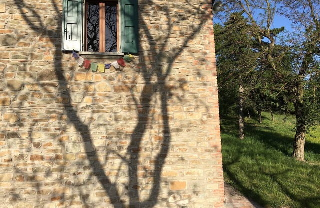 Rustic between oaks and tamarisks, in the Valle Del Sillaro.