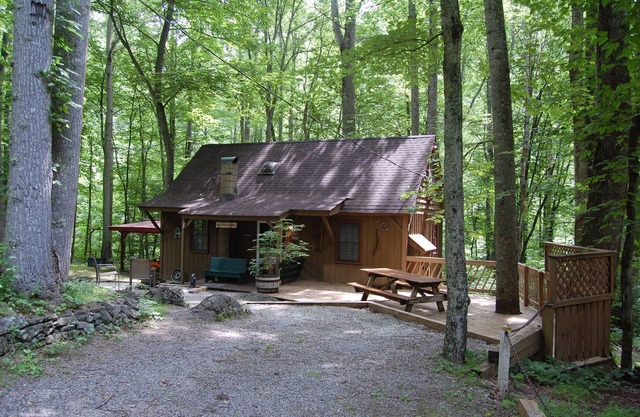Rustic Mountain Retreat-Bear Paw