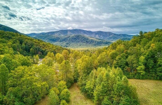 Rustic Retreat-Pickleball Court, Creek, WIFI, Mountain Views, Starting at $79"