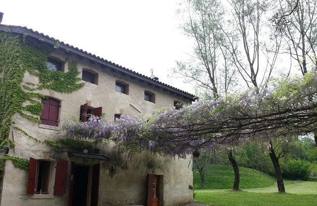 Rustico in an oasis of silence in the hills of Prosecco two steps from Venice
