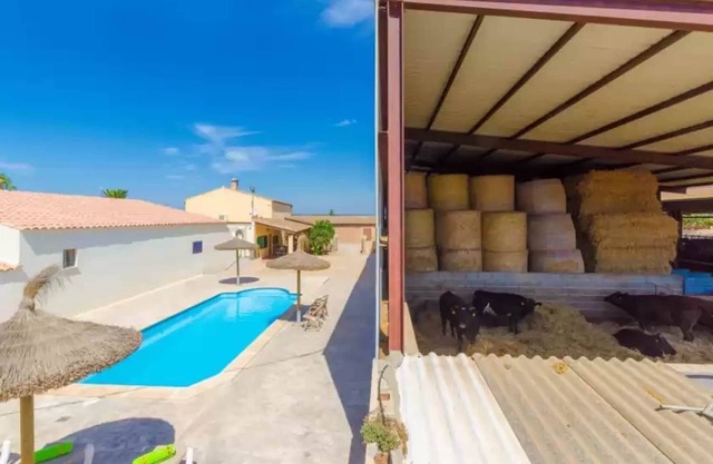 Sa Caseta De Ses Vaques.son Covas - Country House