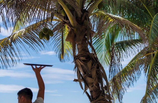 Sana Tulum Beachfront Boutique Hotel