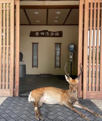 Sarusawaike Yoshidaya