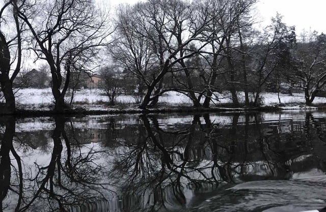 Sazava River Cottage With Boating Experience