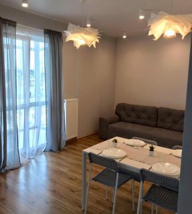 Scandinavian apartment