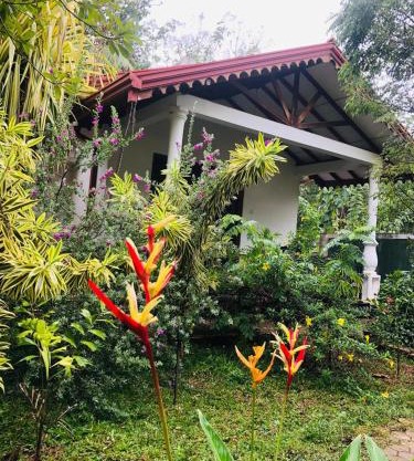 Scenic Cottage Sigiriya