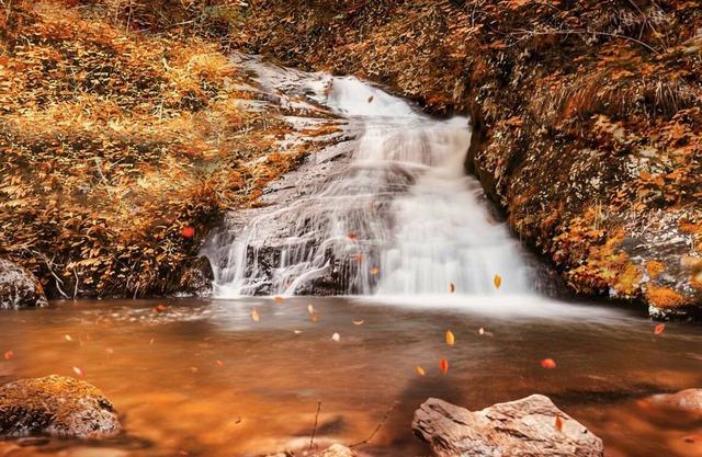 Scenic Falls Cabin - Luxury Retreat w/Private 65’ Waterfall & Natural Pool