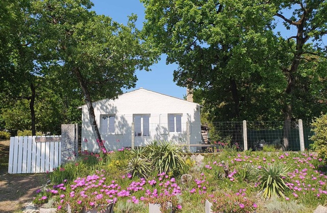 Sea view, Fort Royer beach 2 steps away, enclosed wooded grounds 1400 m², 3 terraces, GOLF