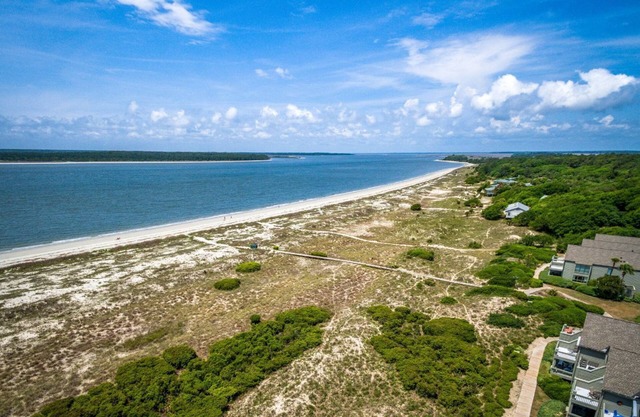 Seabrook Exclusives | 1368 Pelican Watch