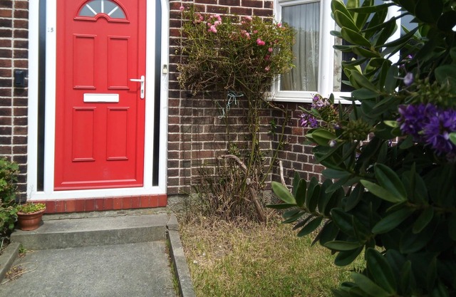 Seaview Family friendly house