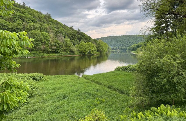Secluded and Spacious Riverfront Cabin sleeps 7