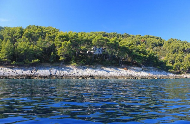 Secluded fisherman's cottage Cove Spiliska, Korcula - 9142