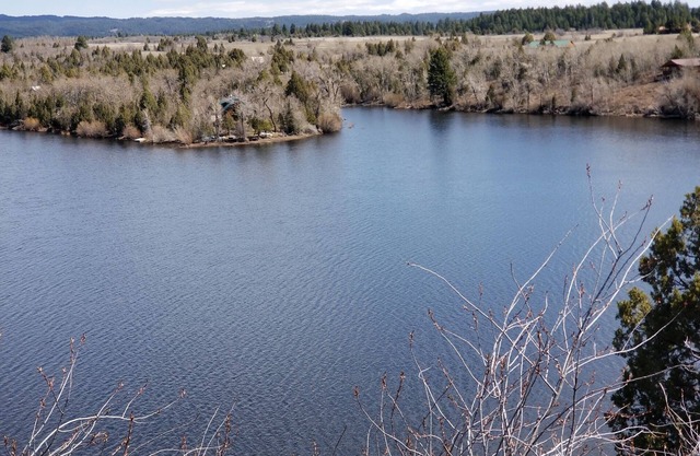 Secluded Lakefront Log Cabin, Wildlife and Fishing Paradise, Pet Friendly