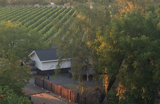 Secluded Luxury Vineyard Estate Guest House