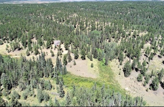 Secluded National Forest Home with Hot tub & Game Room