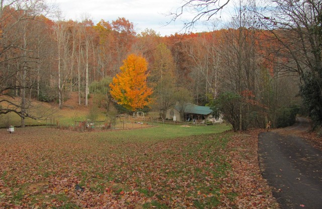 Secluded One Bedroom Cottage In Scenic Patrick County, VA