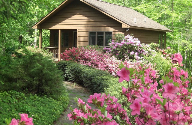 Secluded, Romantic Mountain Cabin for 2, fully equipped