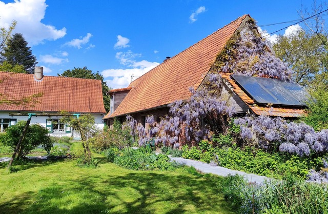 Self-catering cottage in Flanders
