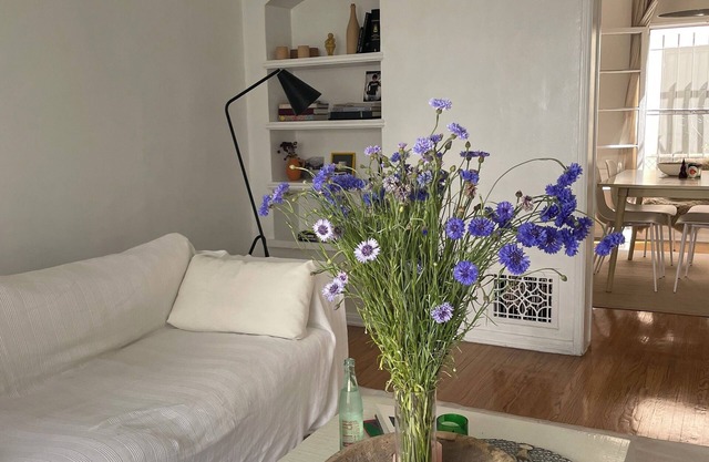 Serene 1-bedroom apartment in the heart of Los Angeles
