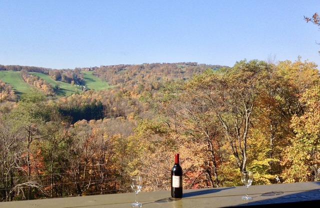 Seven Springs Mt Villas Condo; Ski, Board, Play and/or Relax; Panoramic Views!