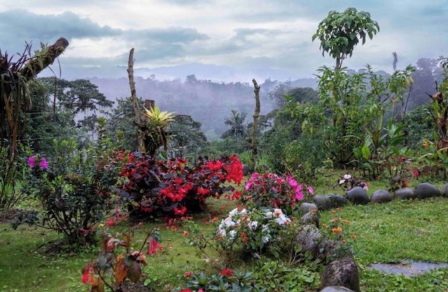 ShantihOMe Stay in tropical cloud forest refuge