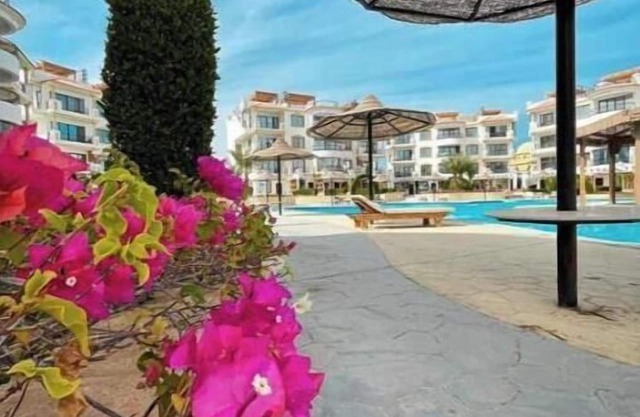 Sharm Hills Resort - Luxury Apartment 4