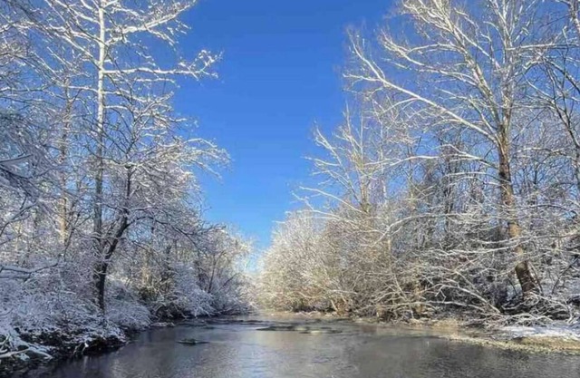 Shenandoah Farm Cottage. River Access , Sweeping Mountain Views and Pet Friendly