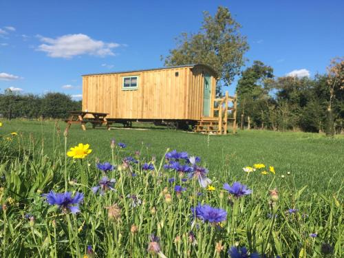 Shepherds Hut 3