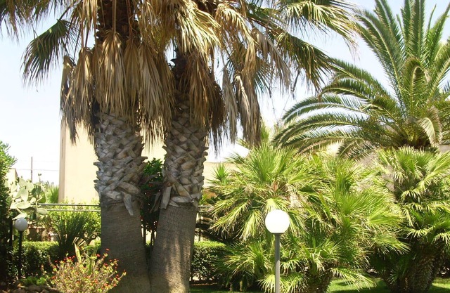 Sicily, Spacious villa by the sea with garden in Santa Maria del Focallo, Ispica
