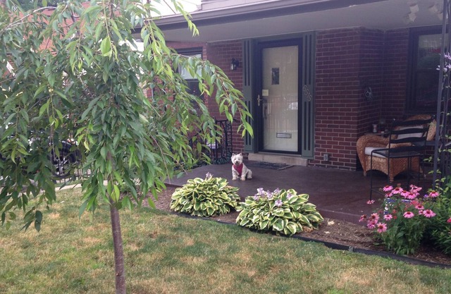 Single Family Bungalow Near Universities, Hospitals- Long / Short term