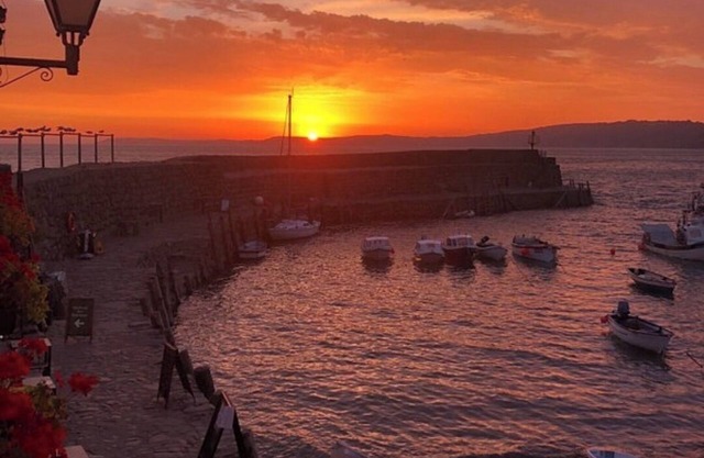 Situated in the heart of beautiful Clovelly bedroom available with bathroom