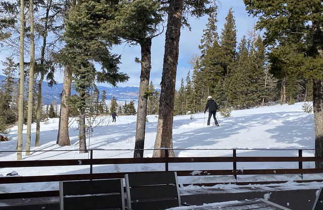 Ski-in/out at this Modern Chalet with breathtaking Wheeler Peak views!