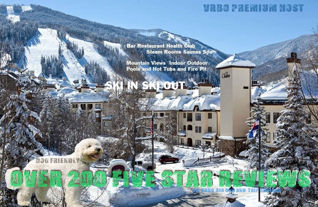 Ski In/Out Luxury A/C & 200 5 Star Reviews! Mtn Views Spa, 2 Pools, 3 Hot Tubs