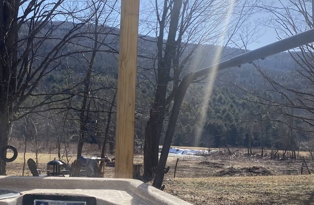 Ski retreat near Hunter and Windham. Mountain views! Family and pet friendly!