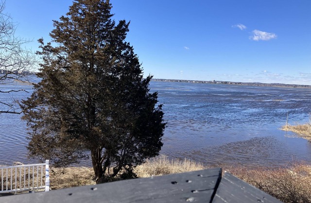 Sleep 20 @ Sunset Marsh - 1/4 Mile to Beach & Seawall!