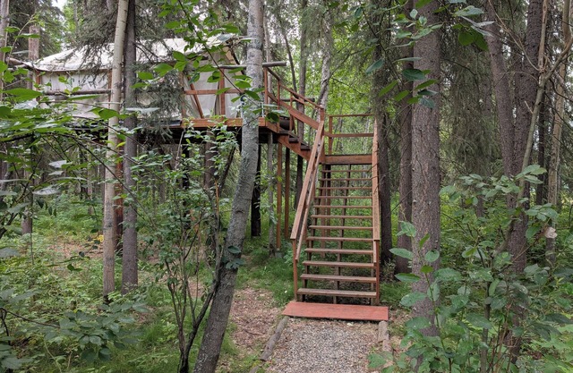 Sleep in the trees! A treehouse escape just 5 minutes from airport and downtown!