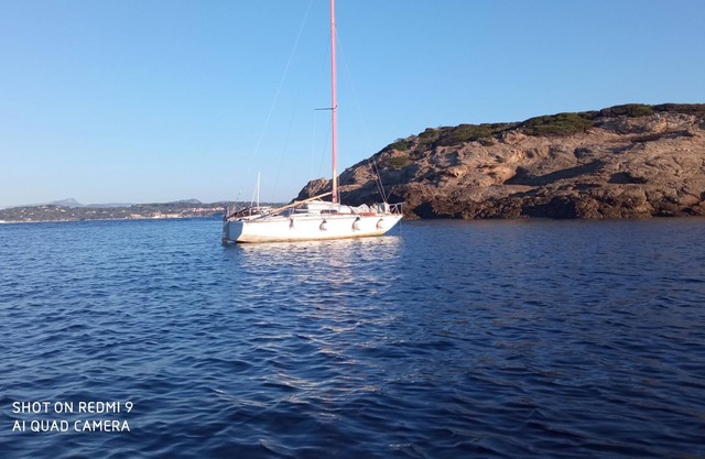 Small sailboat at dock