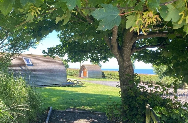 Small Standard Wooden cabin