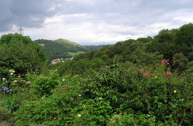 Small stone house overlooking the Pyrenees foothills (sleeps 2)