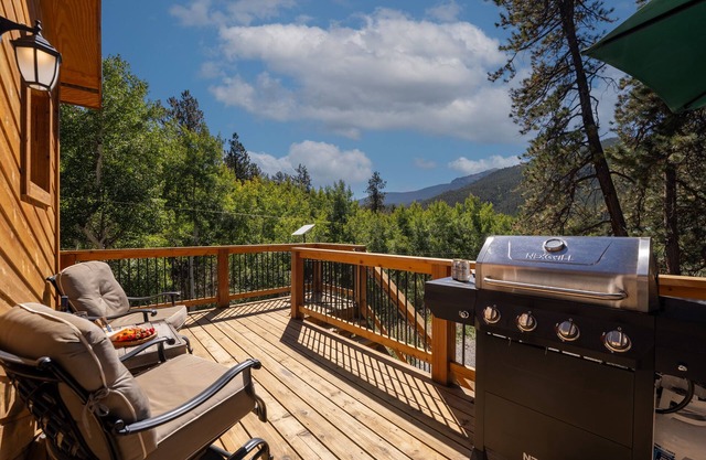 Small Town Charm -Stunning Mtn Views - Sauna- AC - Pike Forest Paradise