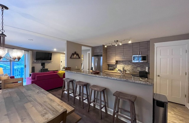 Smuggler Mine - Pet-friendly family ski condo!