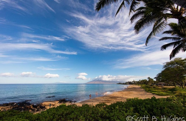South Maui 1 BR Guest Suite - Kamaole Beach Area