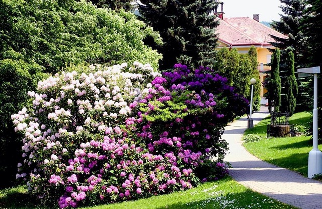 Spa Resort Libverda - Villa Friedland