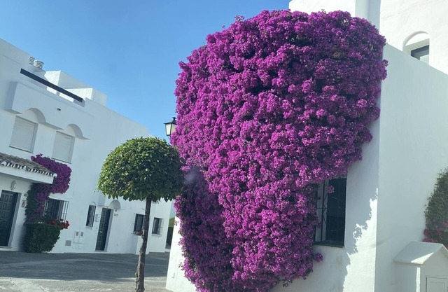 Spacious 4-Bedroom Home with Terrace, Near Beach, Pools & Golf in Marbella