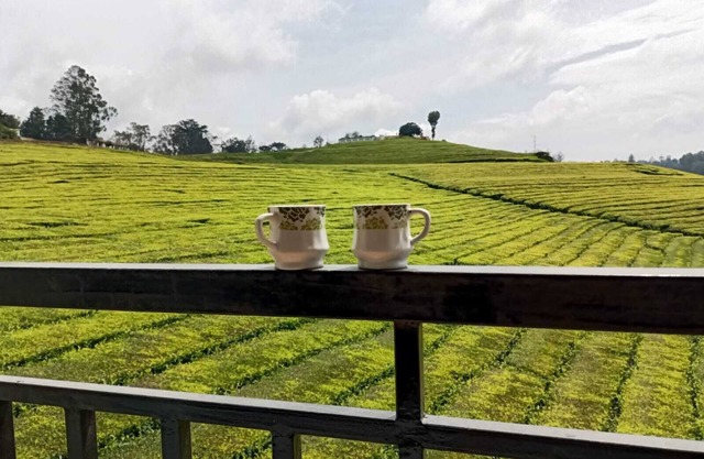 Spacious and serene space with Tea Estate view from every room.n