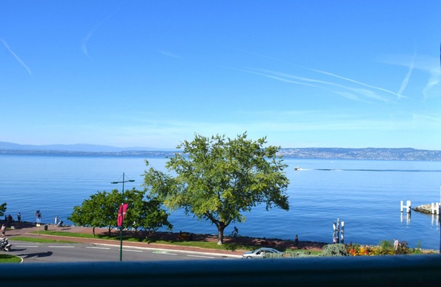 Spacious Apartment in Evian with Lake View, Balcony, and Pet-Friendly